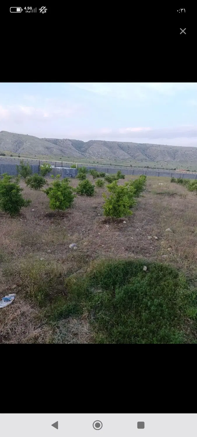 یاسوج شهرباشت .زمین خونه باغی  شهرستان باشت فروشی