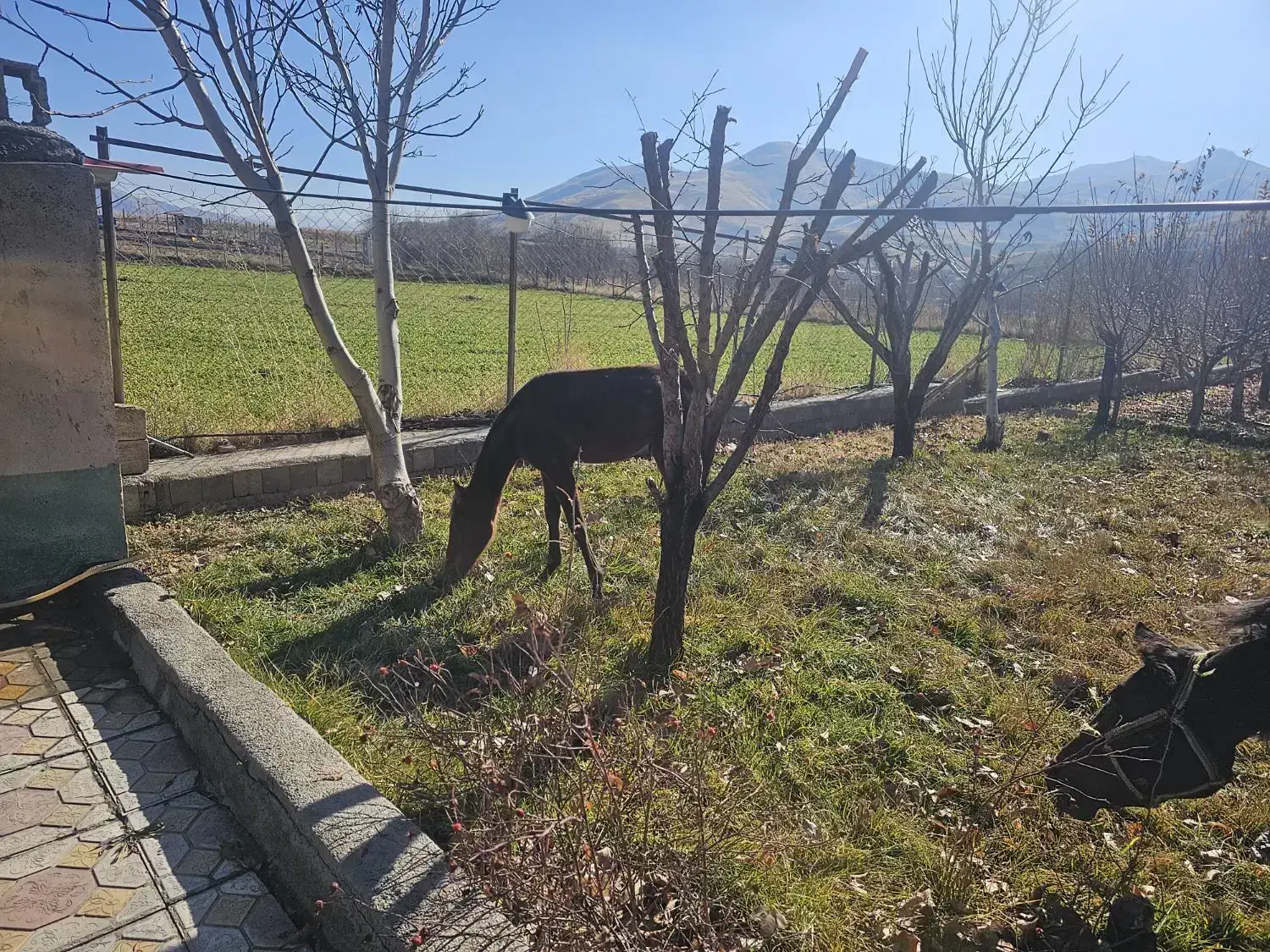 باغ ۲۰۰۰ متری
