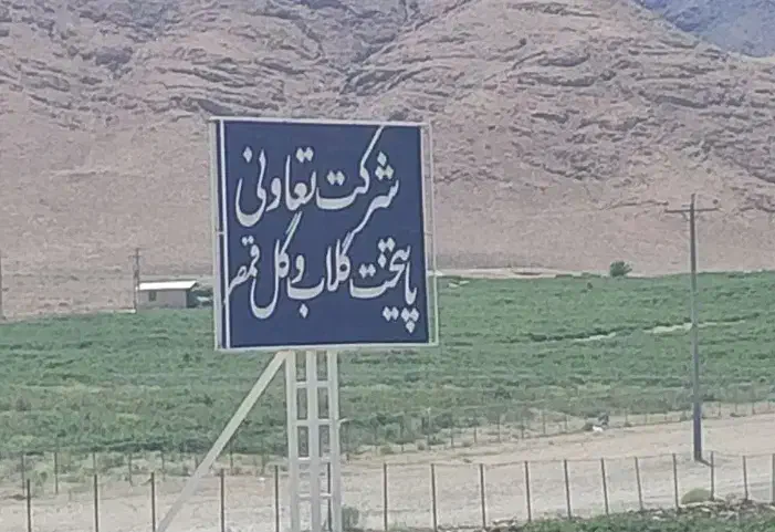 فروش سهام شرکت تعاونی پایتخت گلاب و گل قمصر