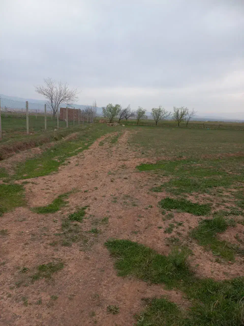 زمین زراعی در کندال مناسب باغ و ویلا