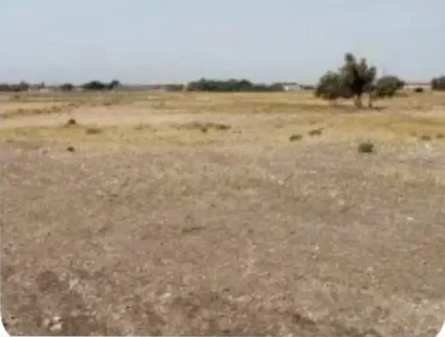 جاده درازی فروش زمین
