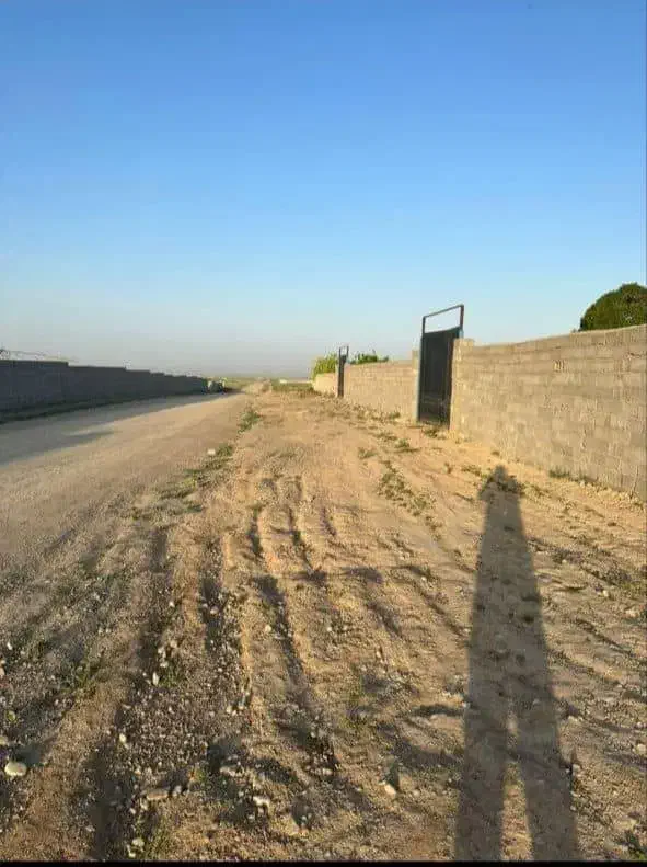 زمین ۱۰ هزار متری واقع در جاده شاندیز