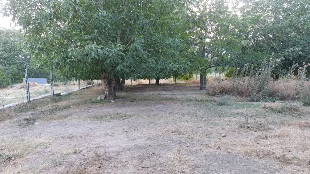 فروش یک قطعه باغ