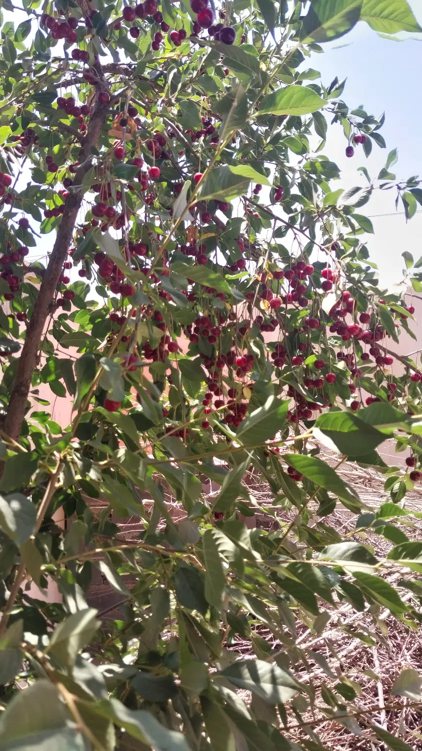 آخر هفته را کجا می‌گذرانید