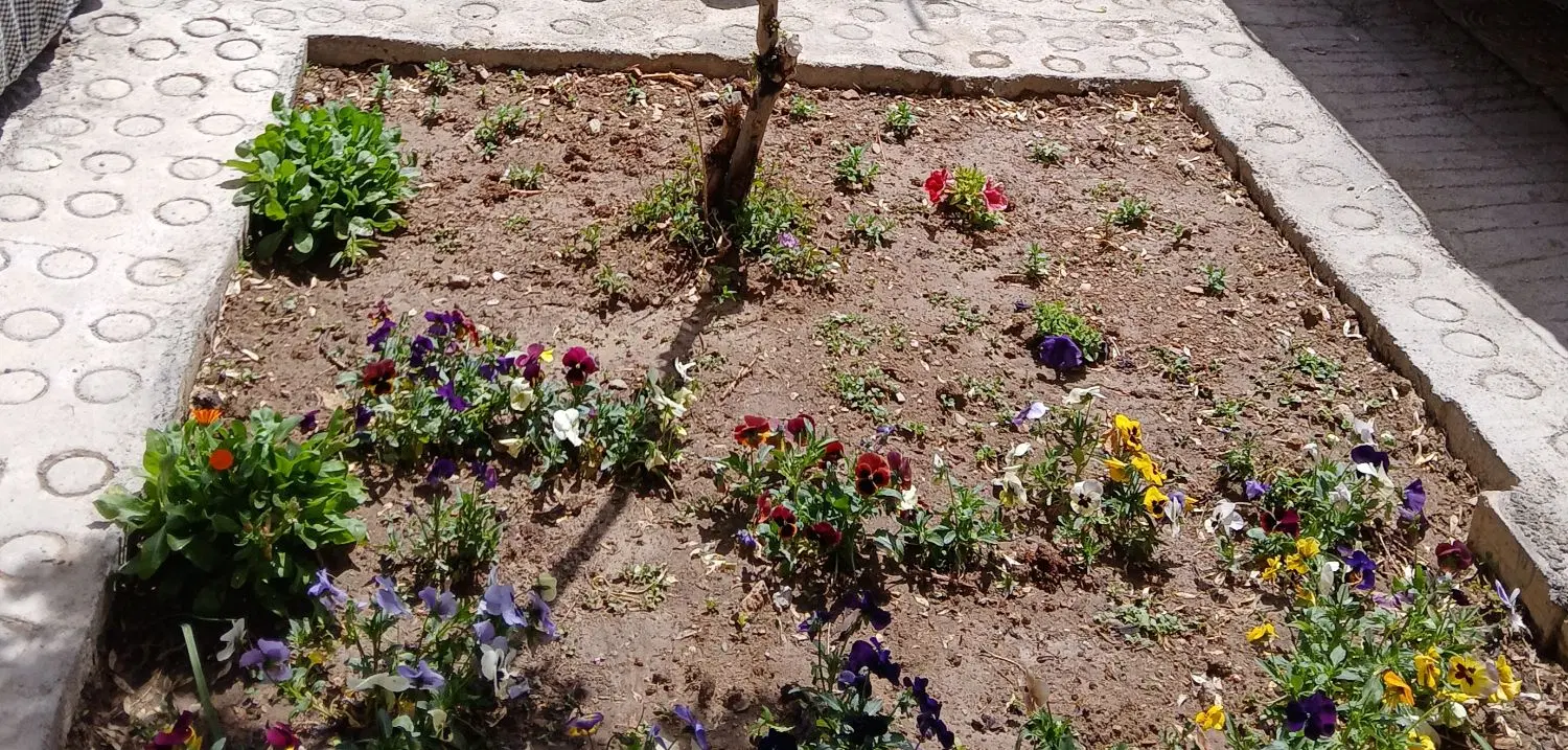 فروش منزل کلنگی