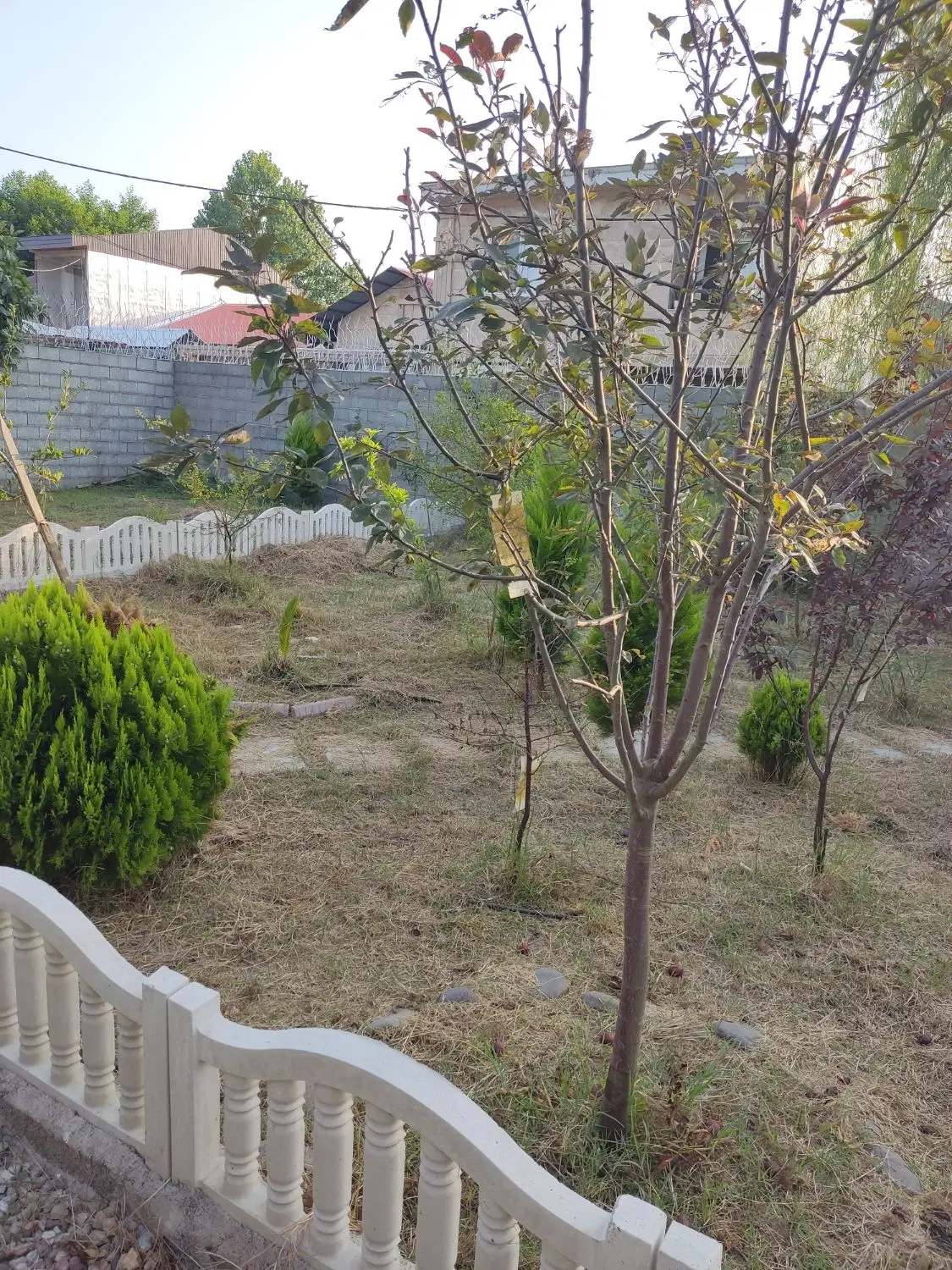 زمین سند دار