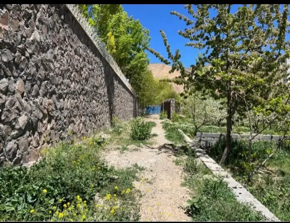 سند تک برگ داخل بافت جابان