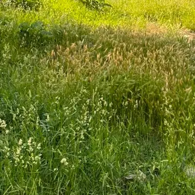 زمین به مساحت ۲۲۰۰متر