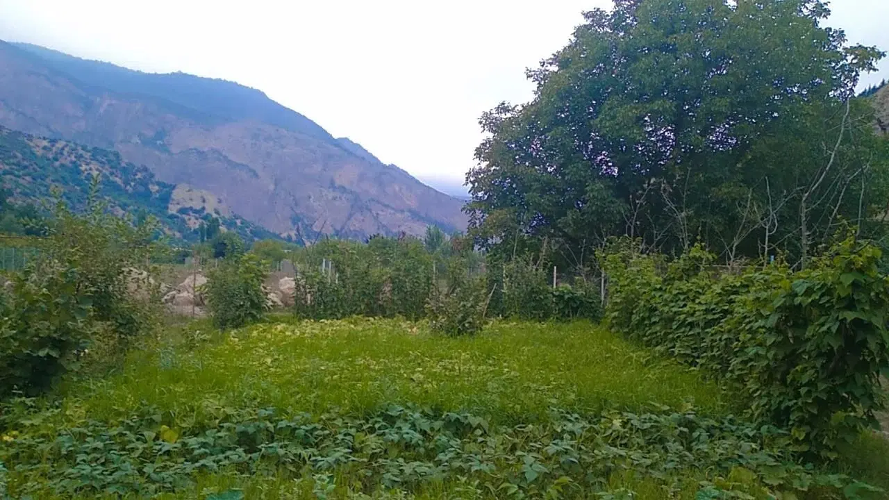 زمین باغی فروشی