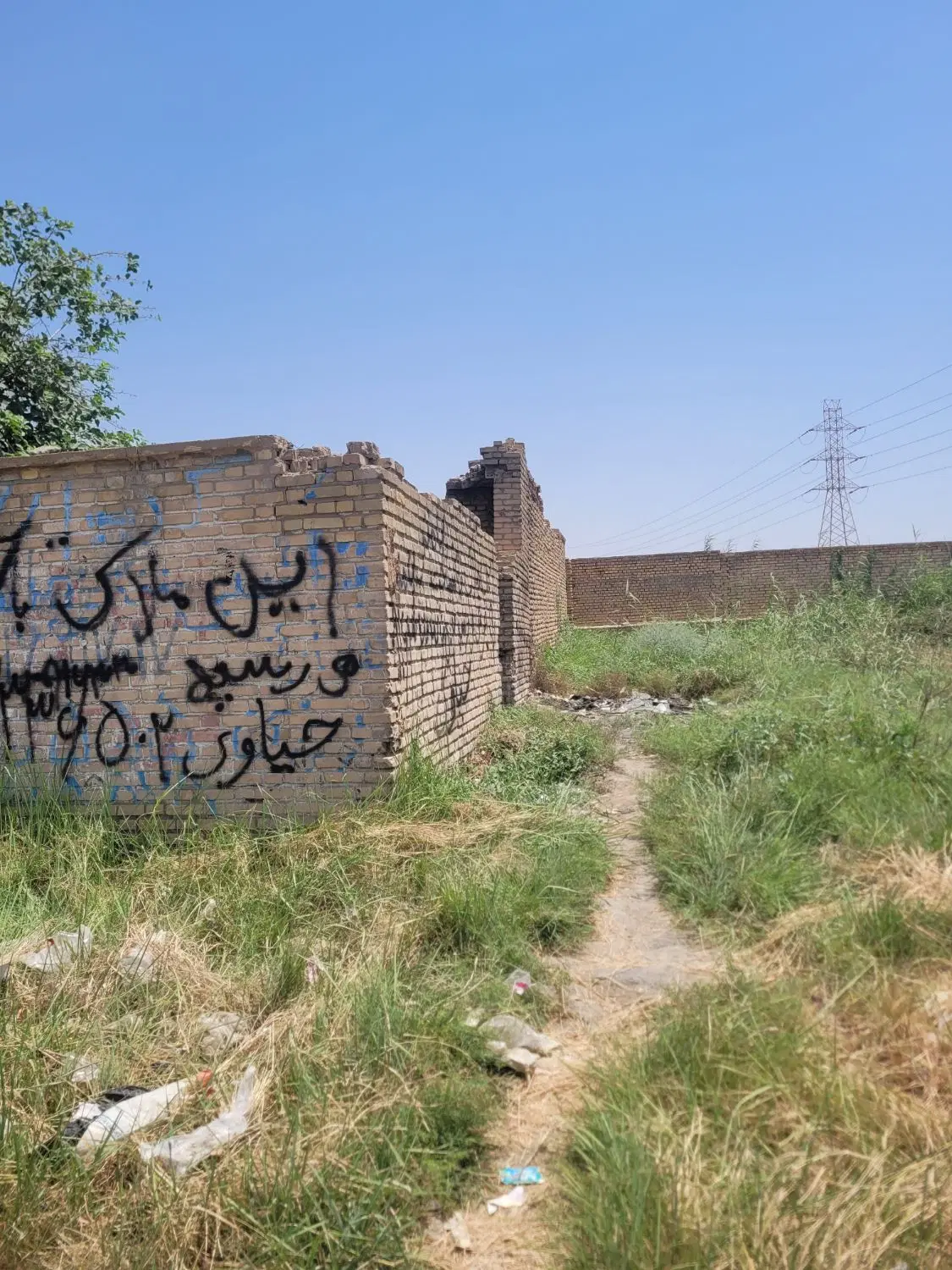 زمین ۶۰۰متری