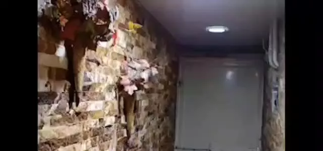 ویلایی لاکچری B1