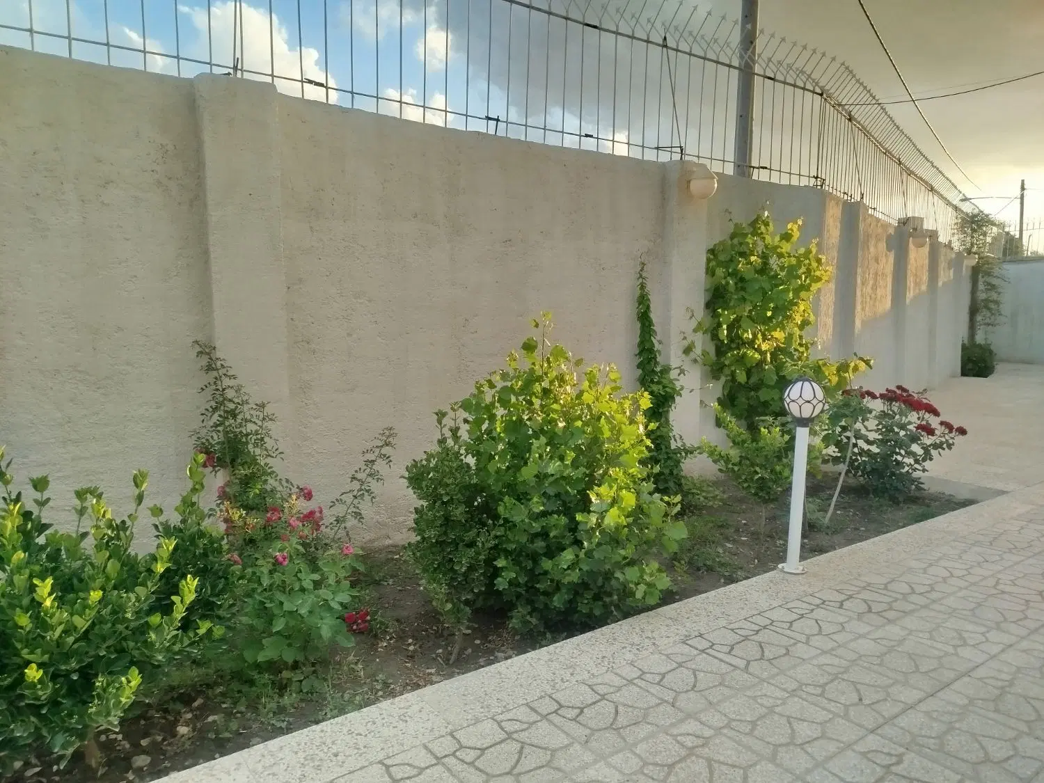 ویلایی