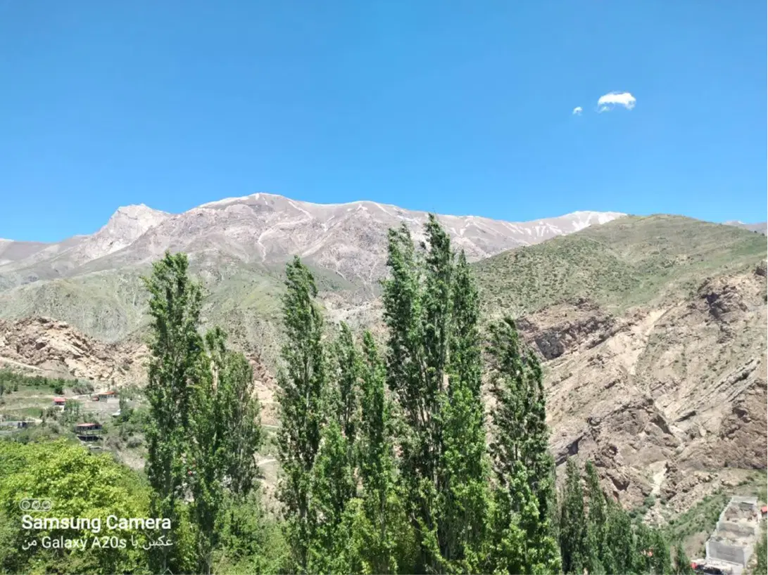 زمین در کلها جاده چالوس
