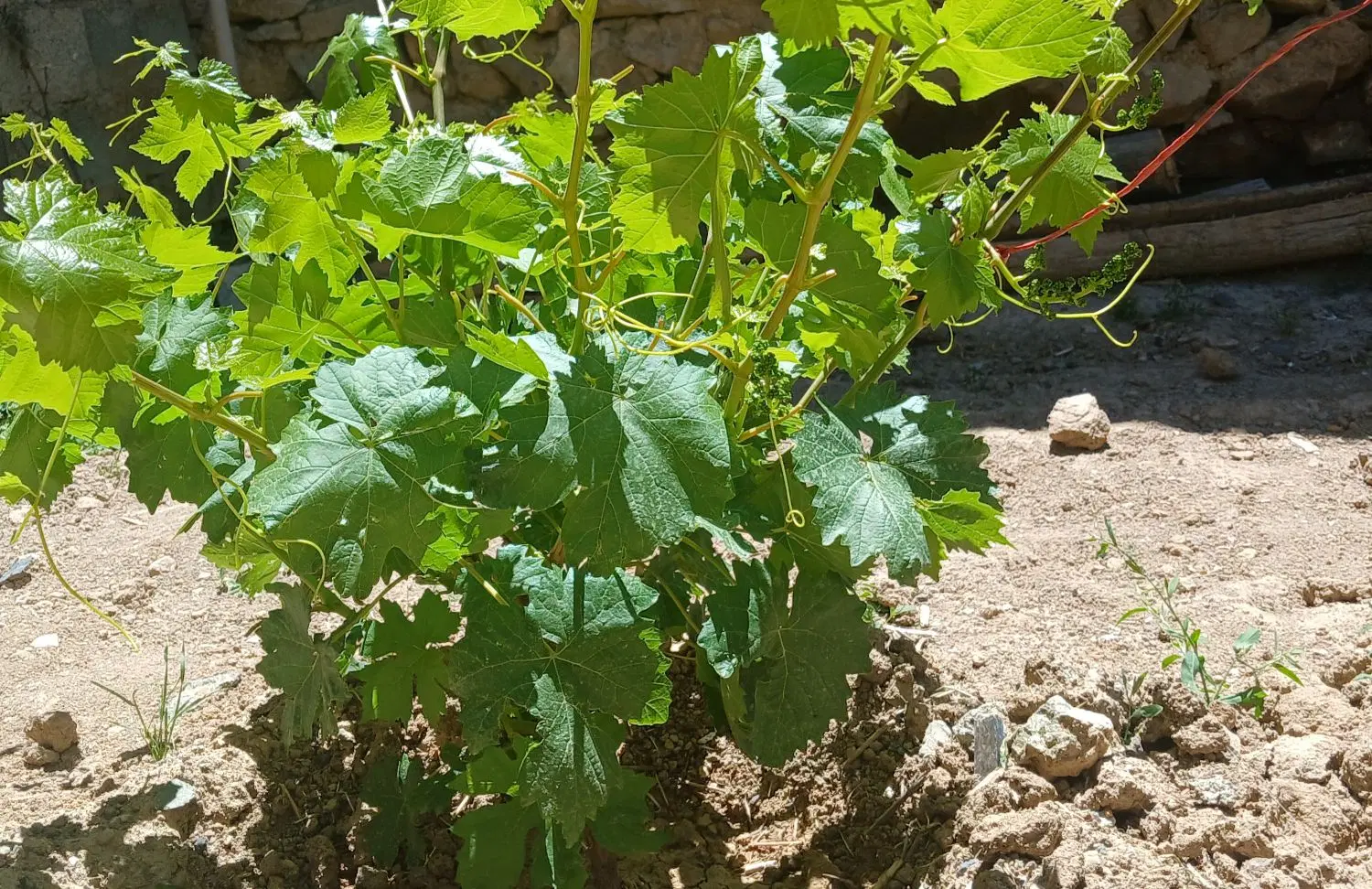 خانه ۲۰۰ متری پلیس راه همدان