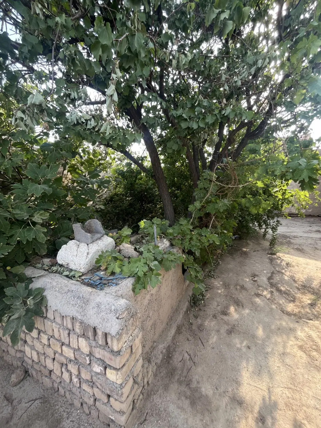 باغچه و منزل کلنگی سنددار