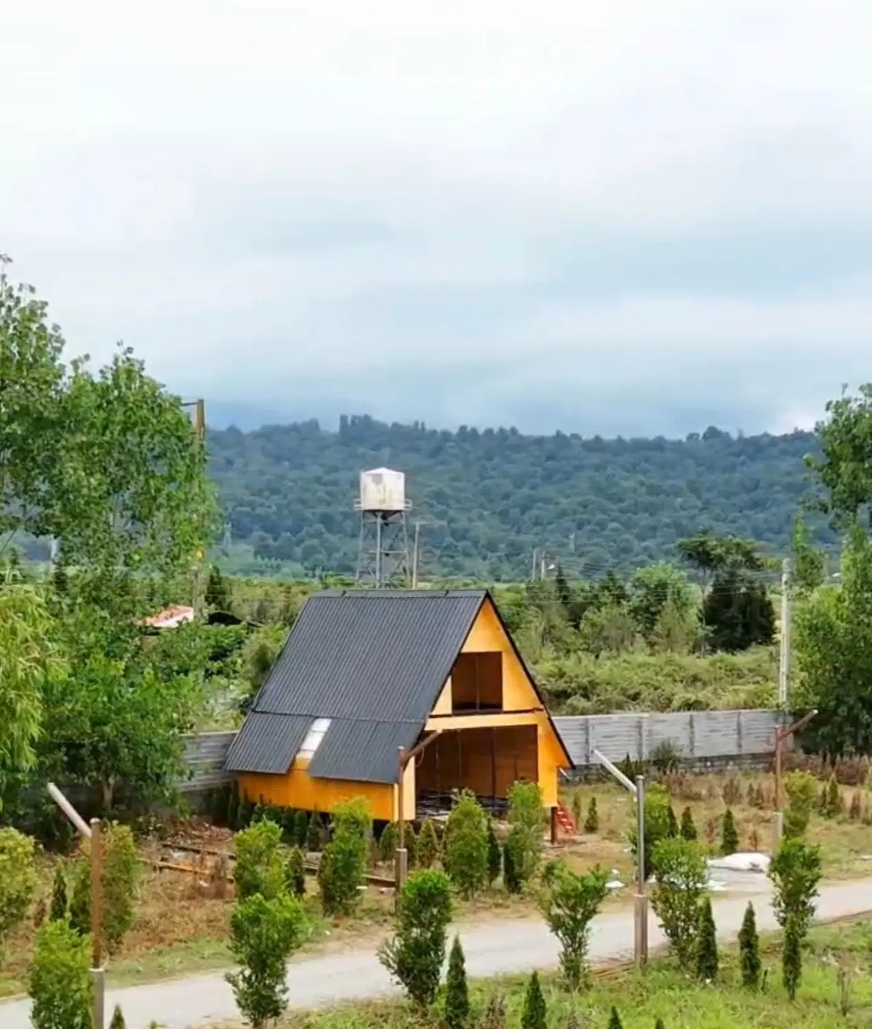زمین کیابسر سند تک برگ با انشعابات
