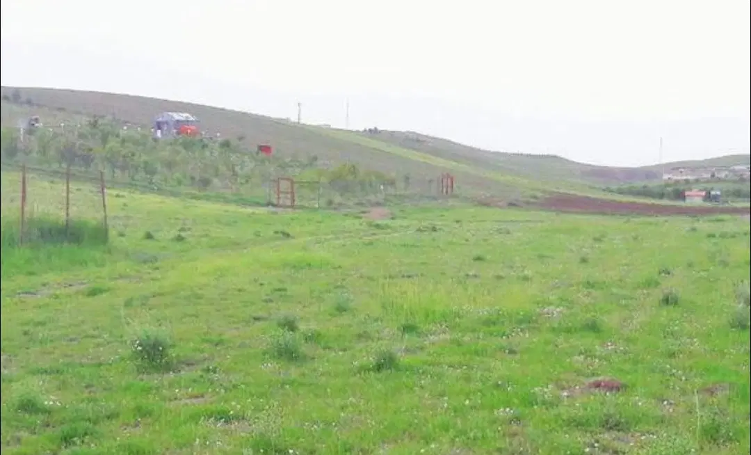 زمین طلائیه جانبازان شفیع اباد