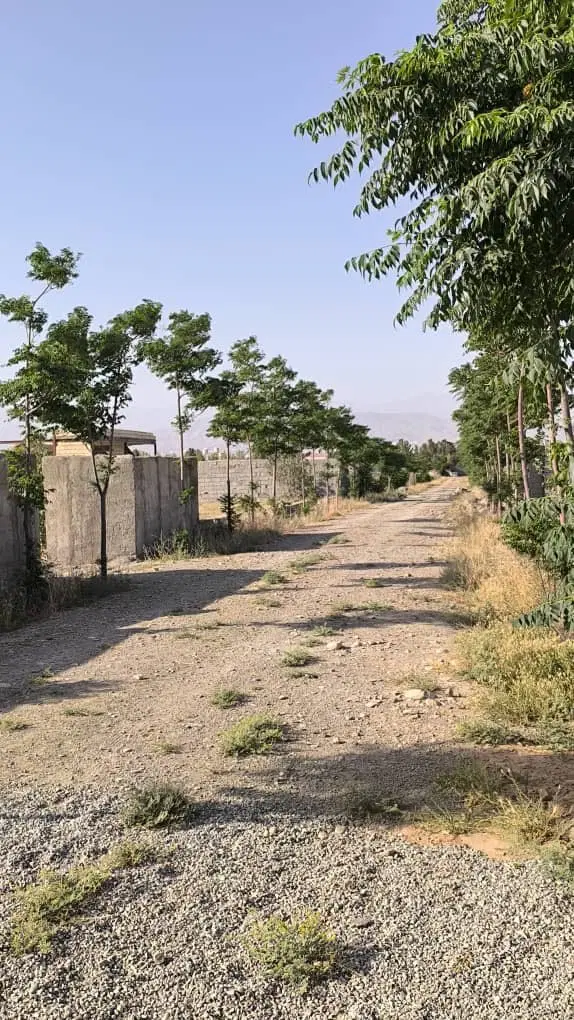 فروش زمین در سلطان اباد
