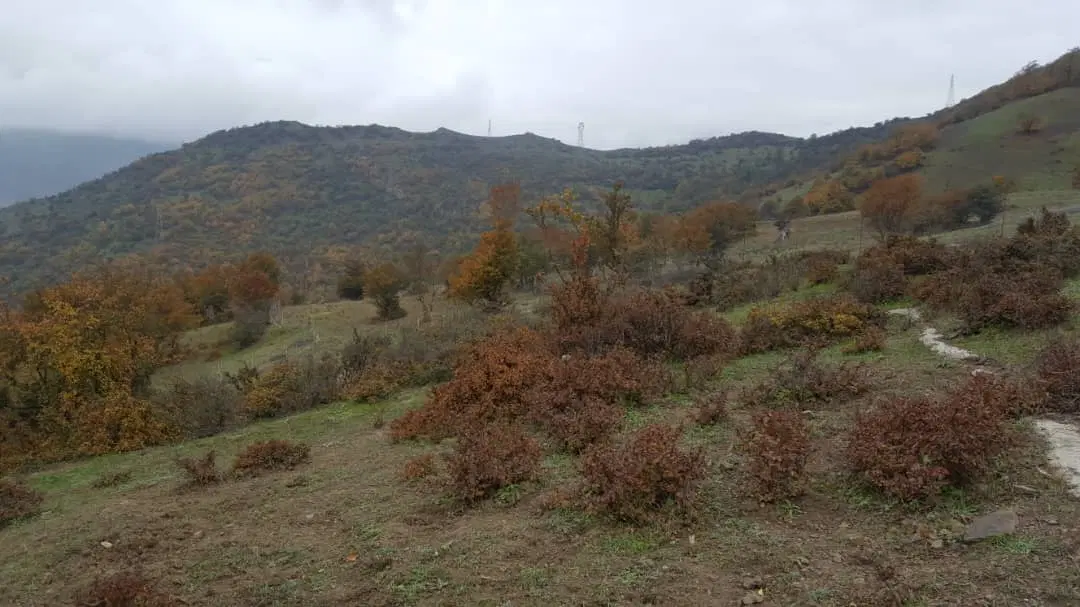 زمین ۴۷۵ متری  تهاتر