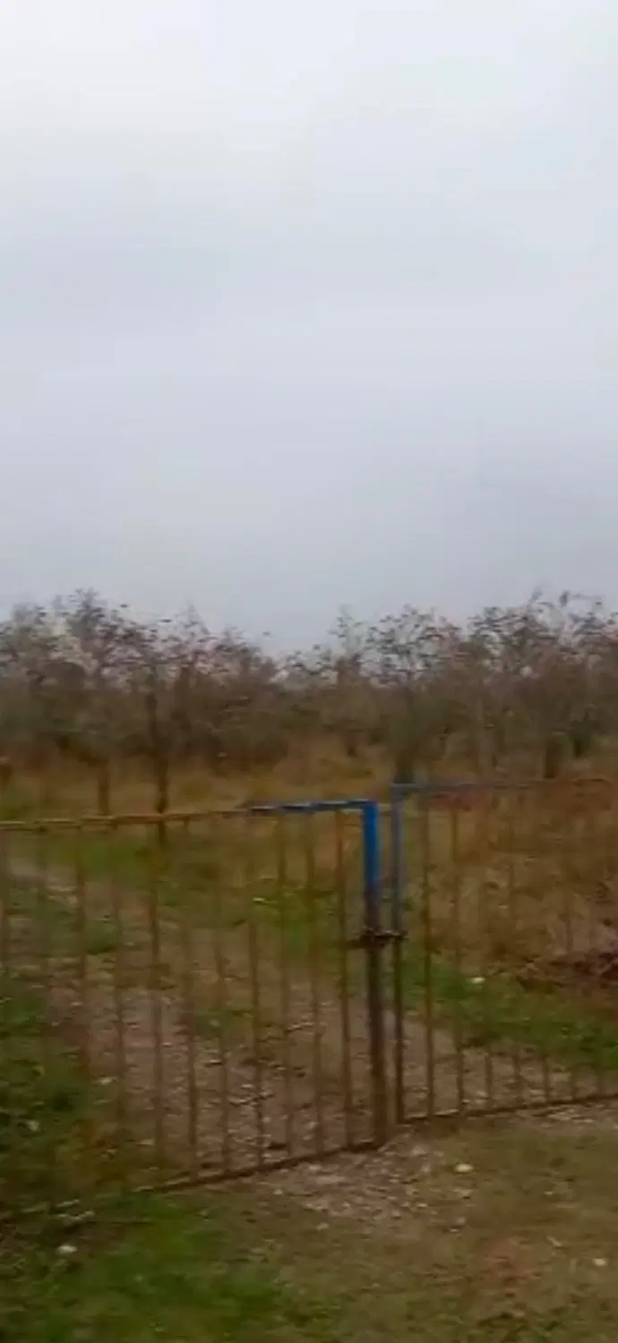 1000متر باغ خرمالو