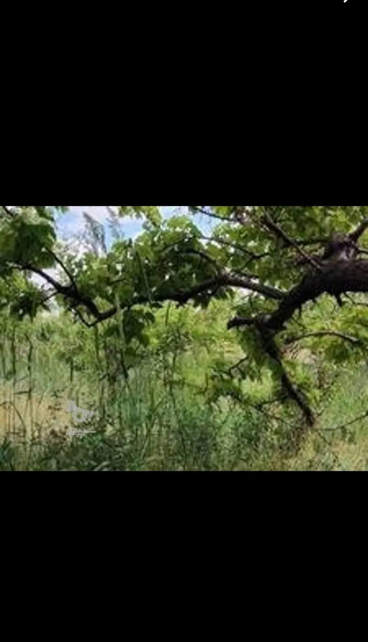 ۲۰۰۰متر باغ بارده دیباج