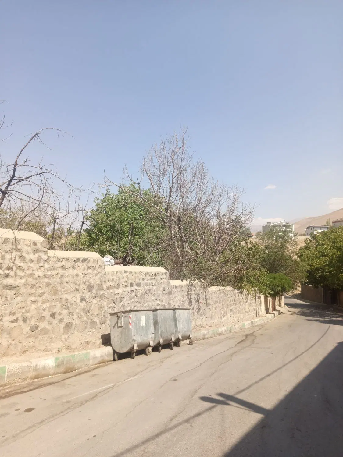 باغ