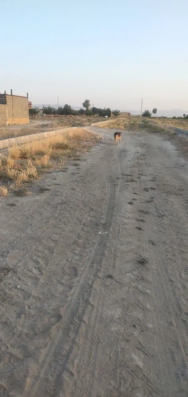 زمین داخل بافت روستای شیخ حسن