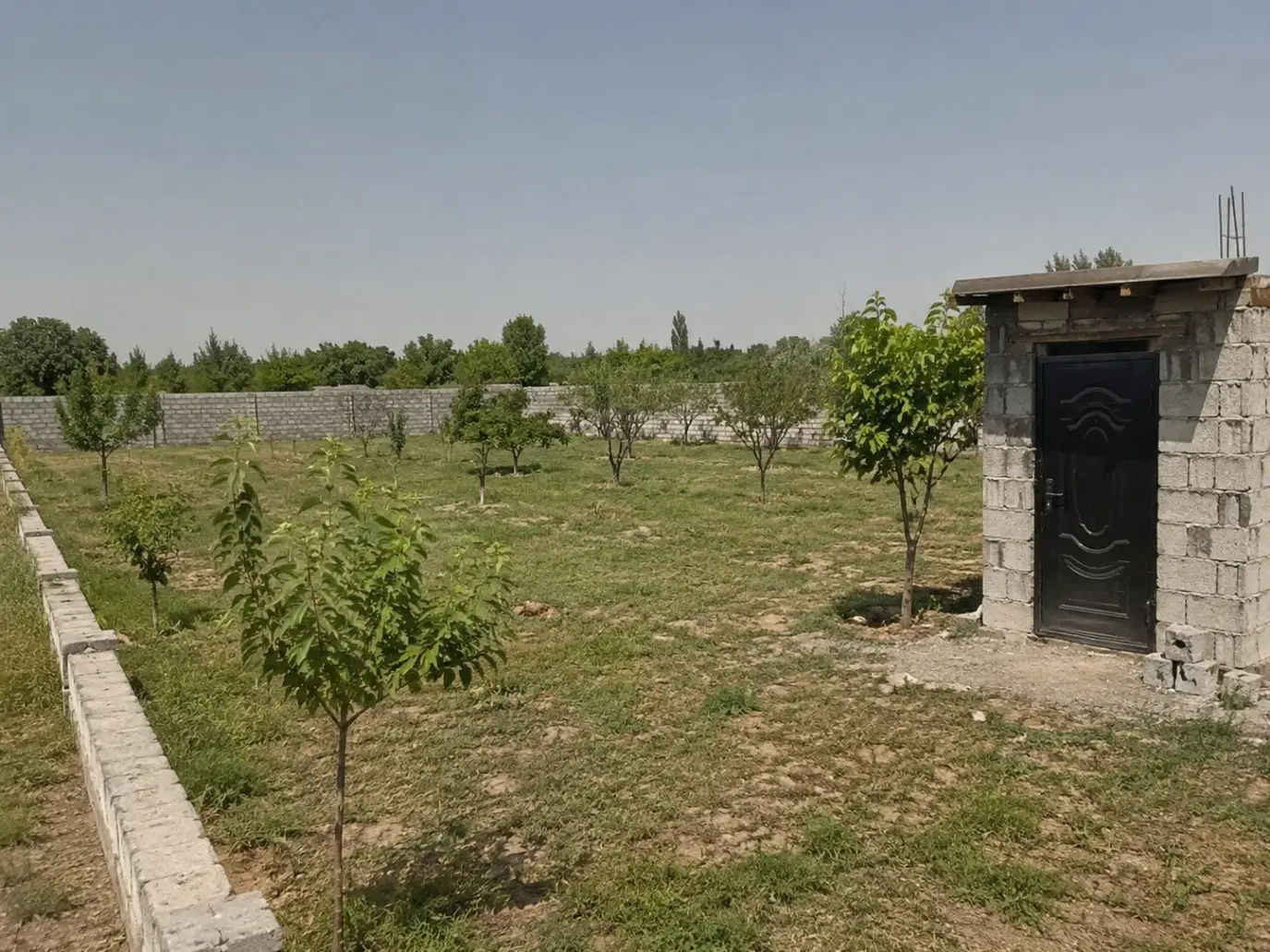زمین باغ