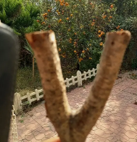 ۱۵۰۰متر زمین مسکونی باغی قاضیان