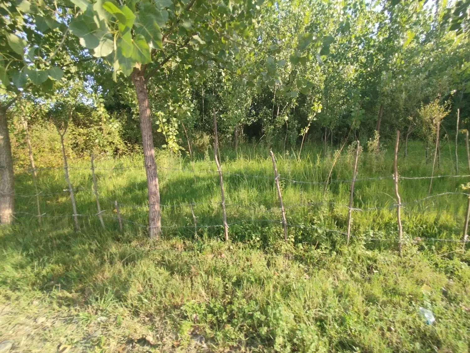 زمین ارزنده جهت سرمایه گذاری 2000 متر ساحلی