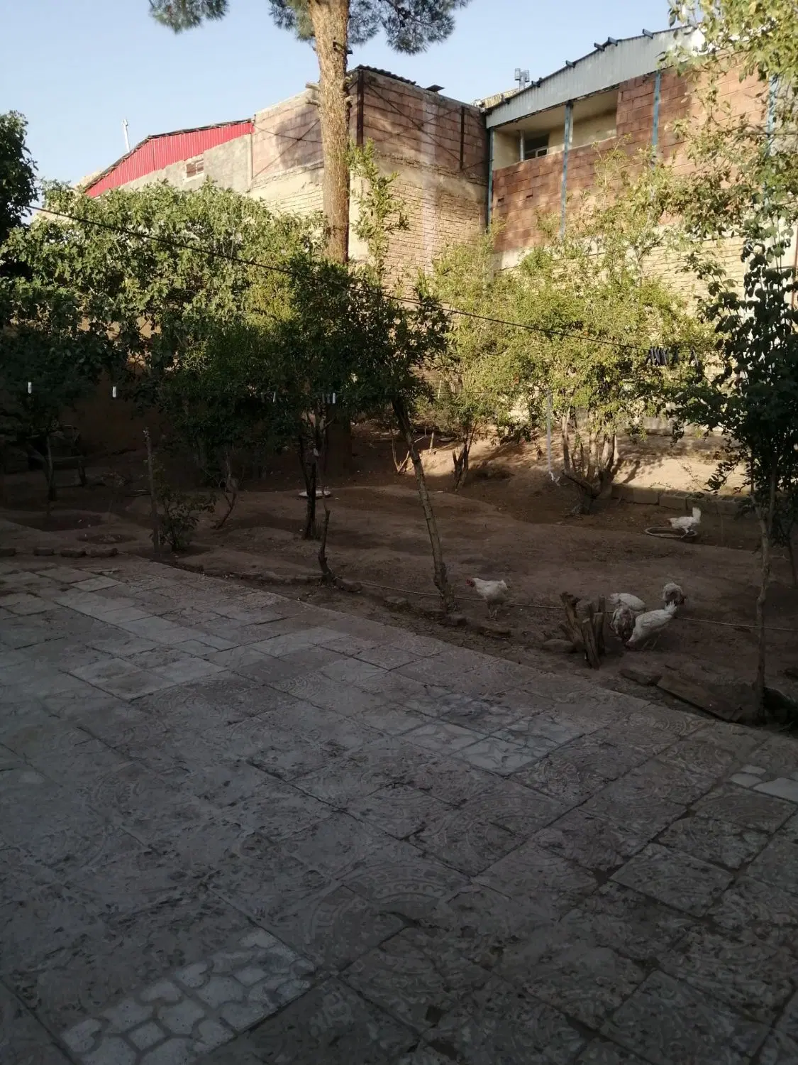 خونه قدیمی ۵۰۰ متری قابل سکونت وساخت وساز سرباز۴۰