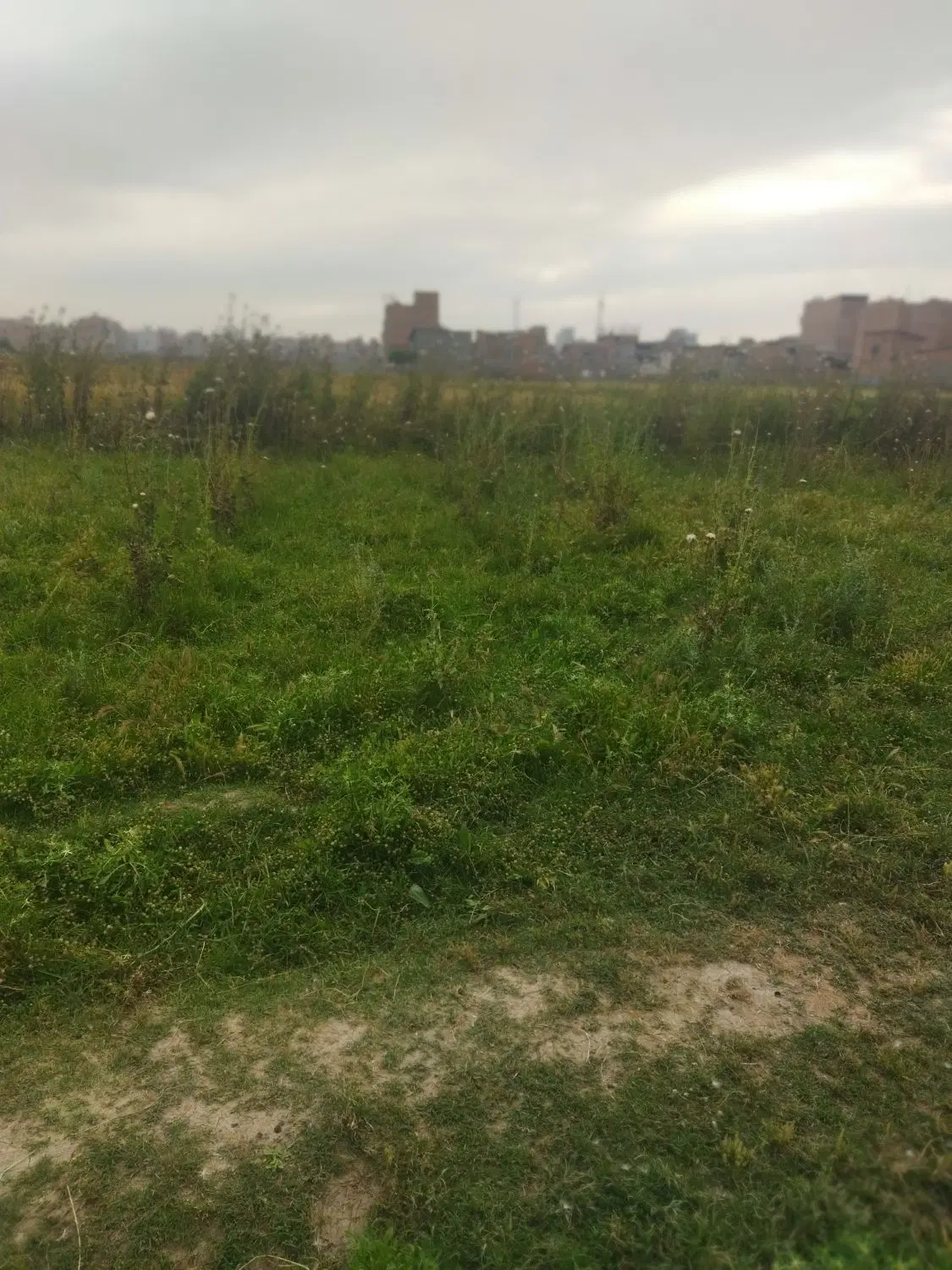 فروش زمین طبیعت،معاوضه با خودرو