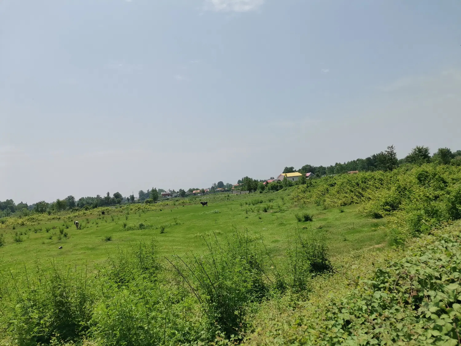 زمینی به متراژ ۱۲۰۰۰متر مربع واقع در سنگر