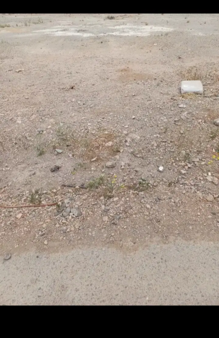 ۱۷۵مترزمین