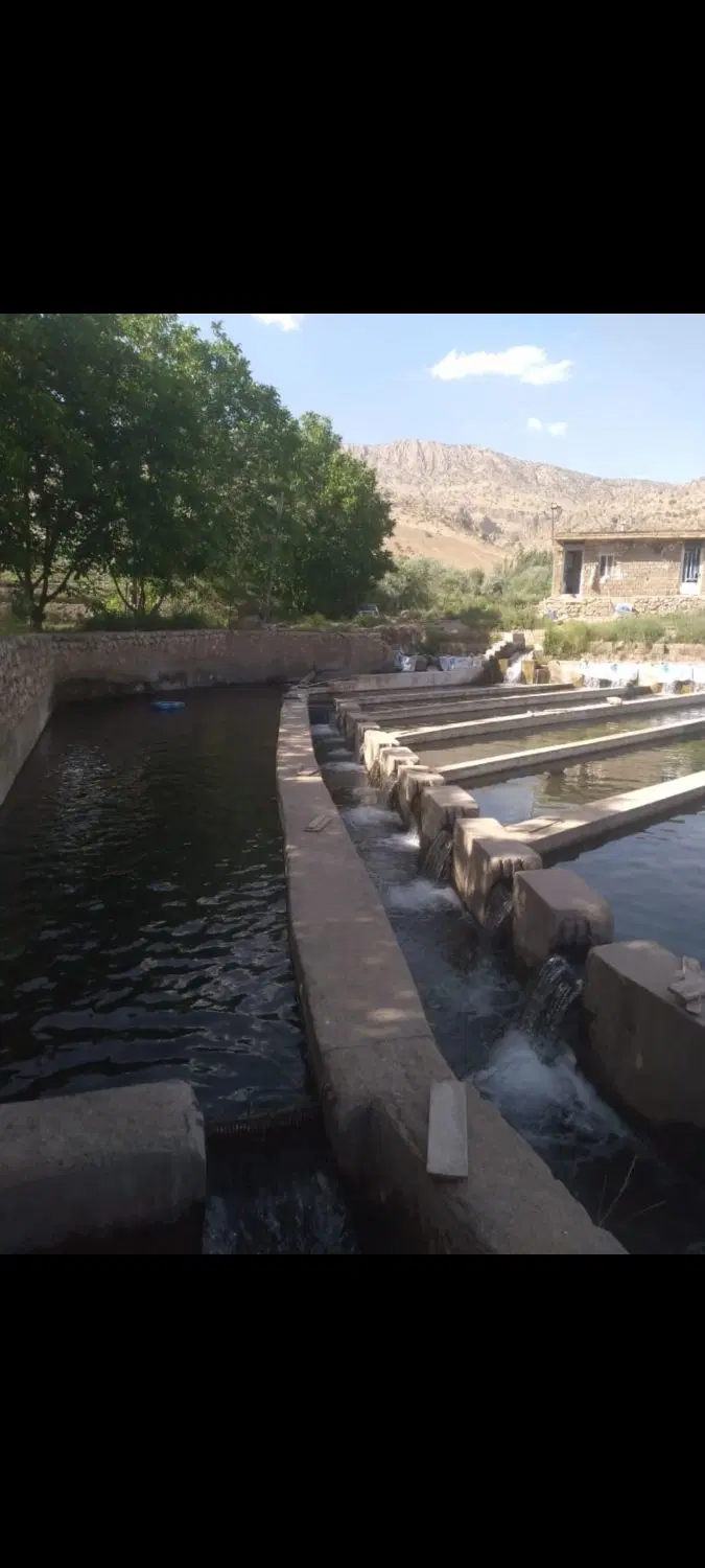 پرورش ماهی با مدارک کامل_۱۰تن همراه با سند تک برگ