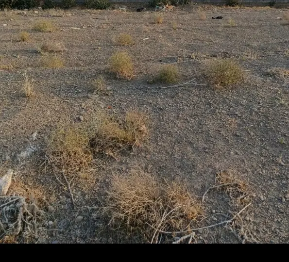 معاوضه،فروش زمین مسکونی تجاری بر دلگشا