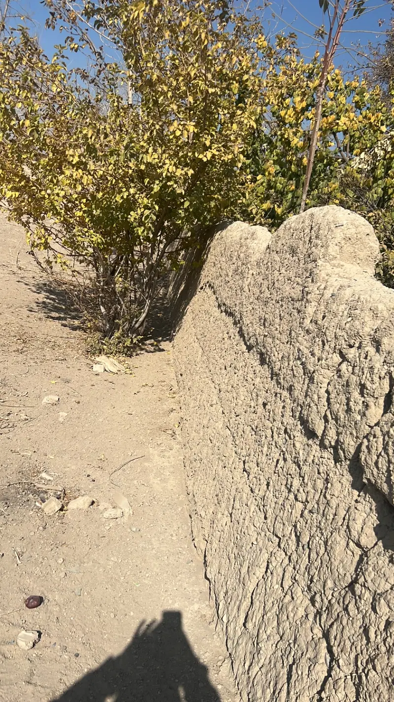 زمین کشاورزی اینده دار