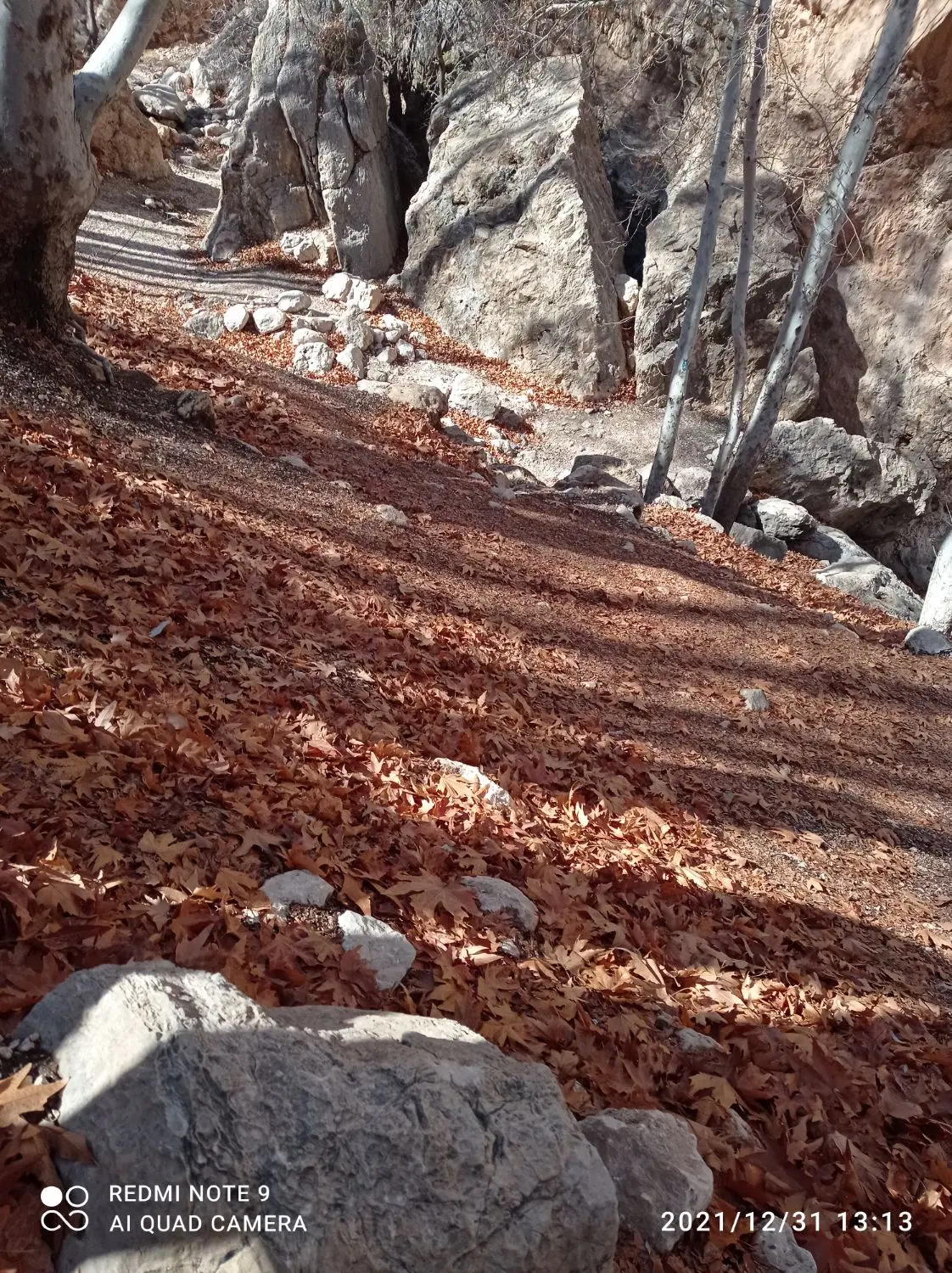 منزل ویلایی ۲۳۸ متری