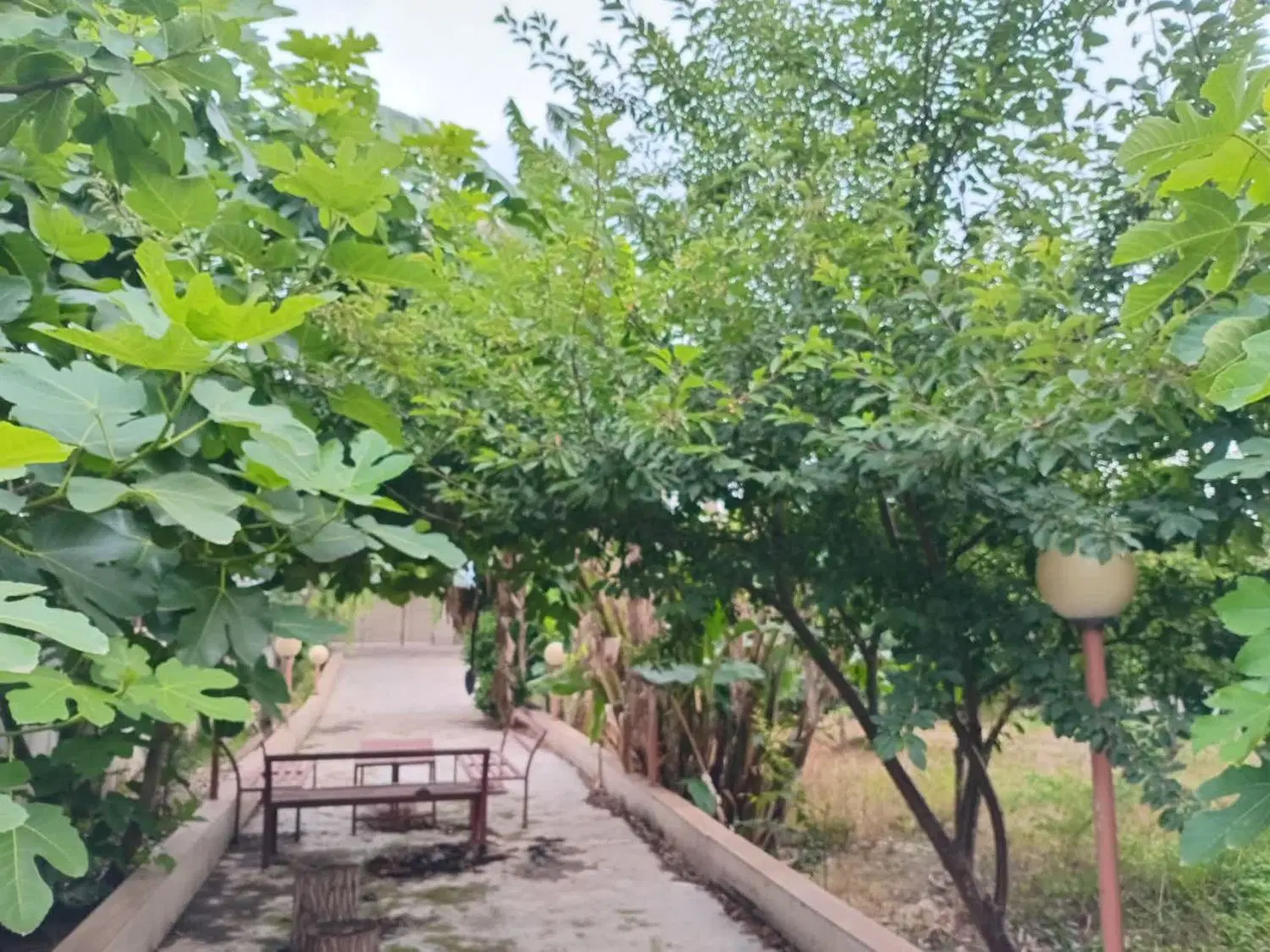 باغ ویلادوبلکس 3خواب _سند تک برگ