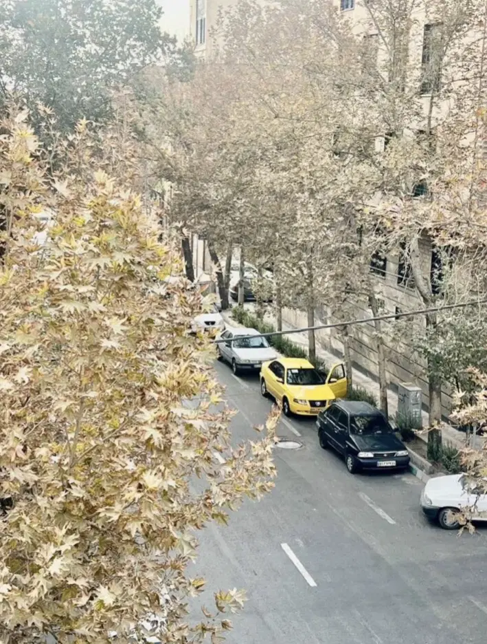 ۲۵۰ متر ویلایی بر بلوار اصلی علامه امینی دوبر