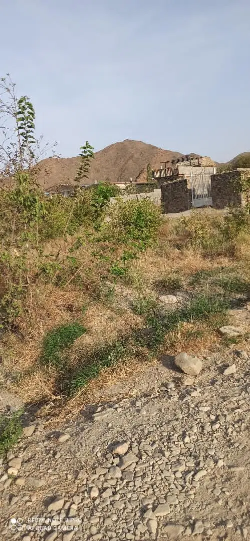زمین کشاورزی در سیرچ