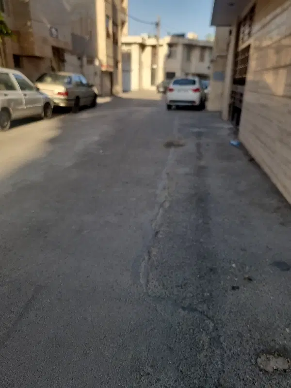 زمین 391 متر باغستان ثامن