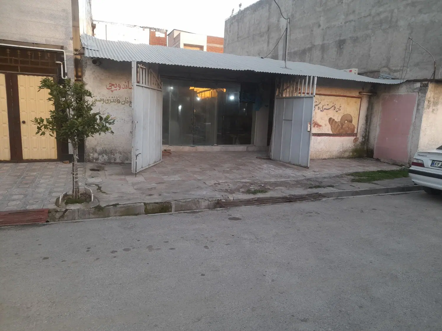 زمین طبیعت ۲۵ ممیز ۱