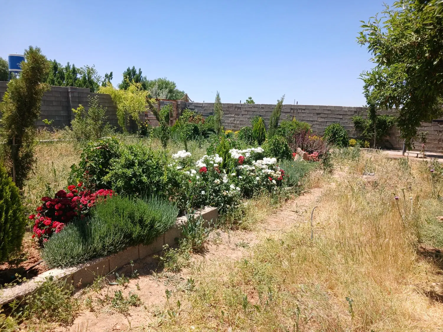 زمین با درب و دیوار قره چمن