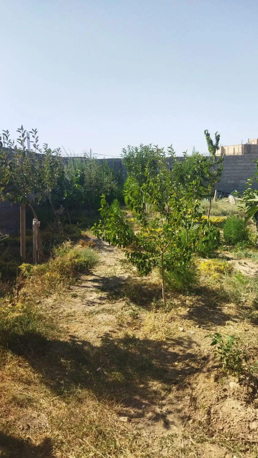 حیاط مسکونی الوار سفلی