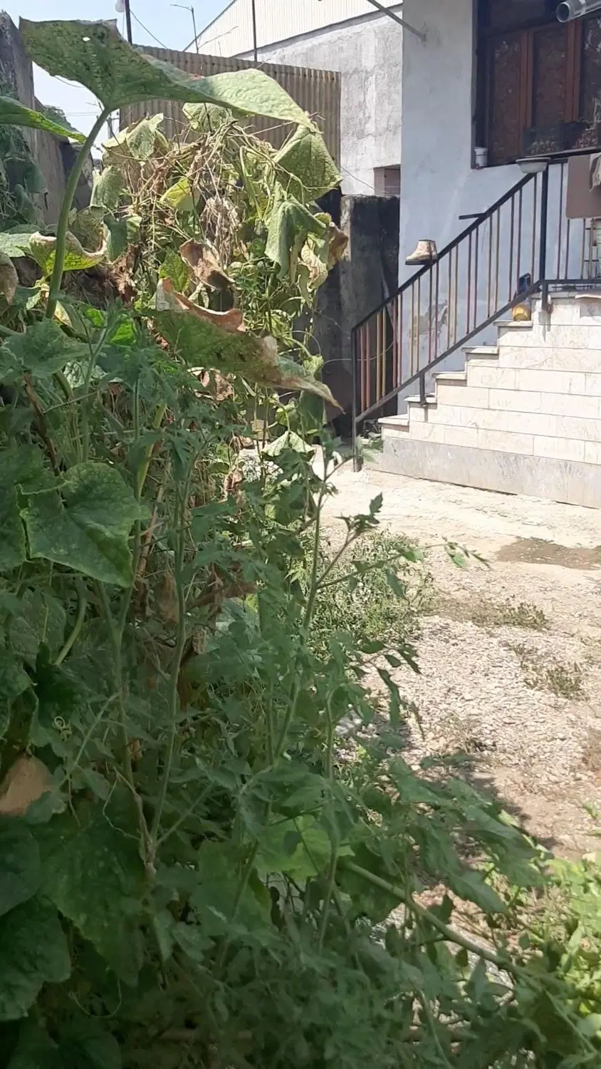 خانه ویلایی