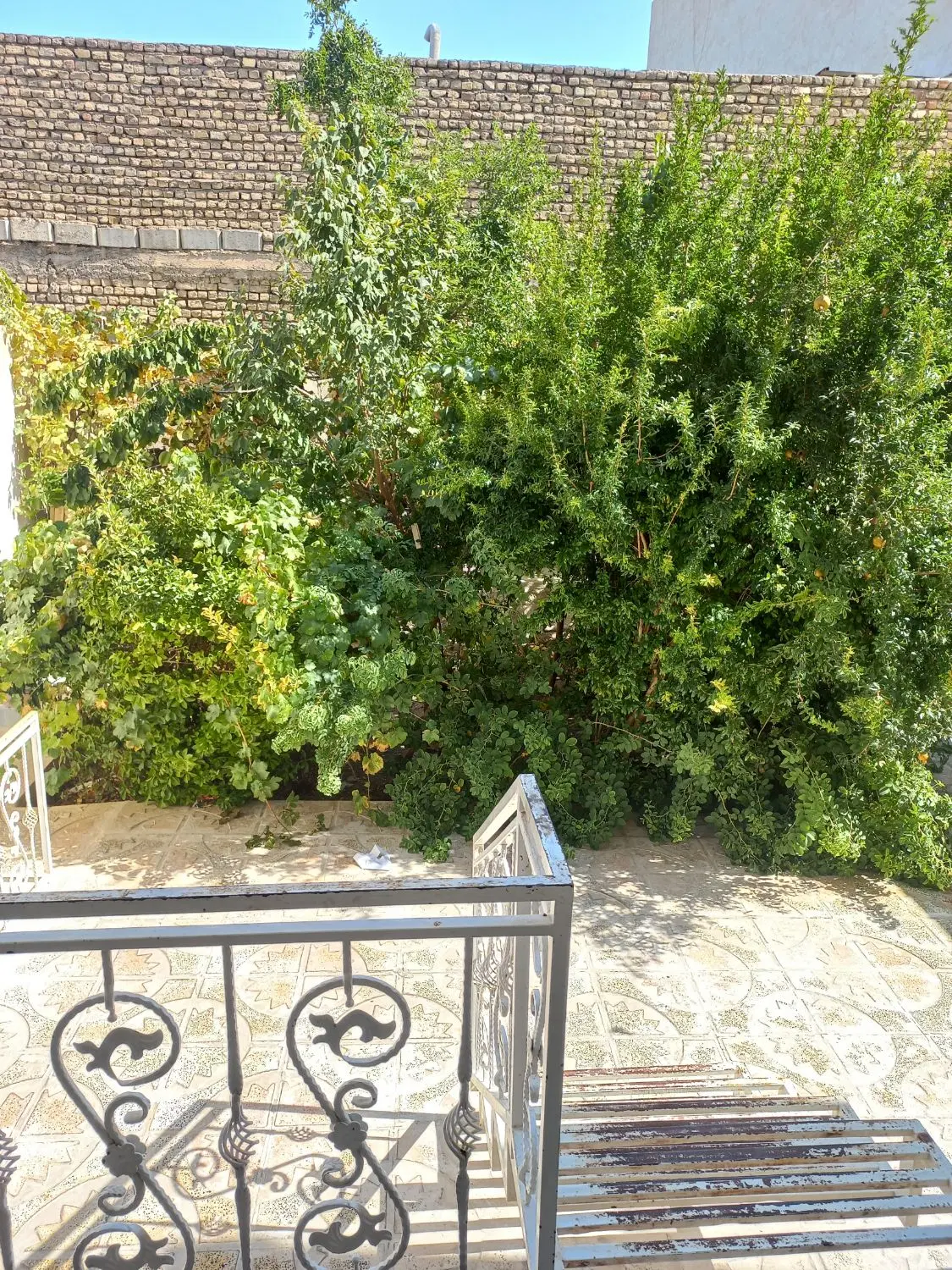 منزل جنوبی۲طبقه اجاره فقط طبقه همکف