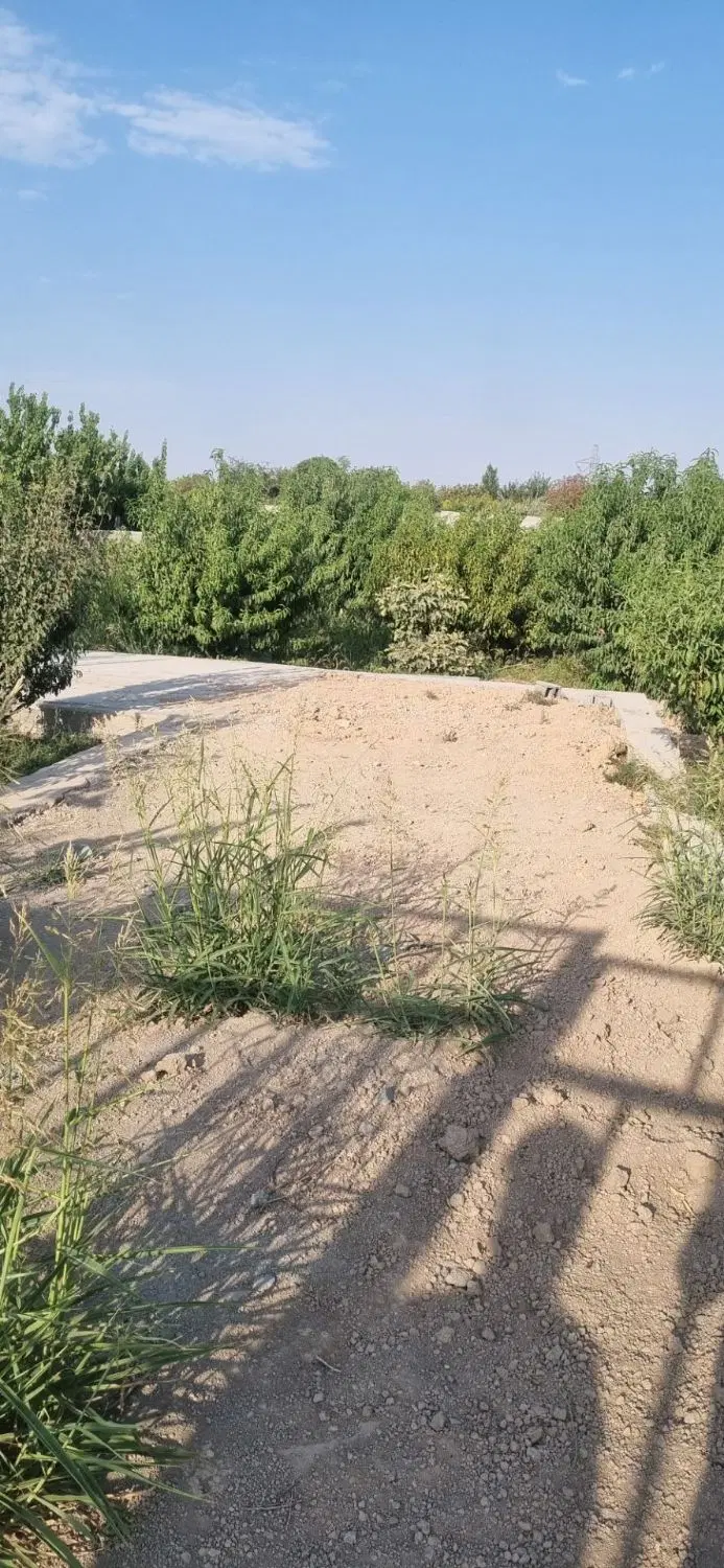 باغ باغچه