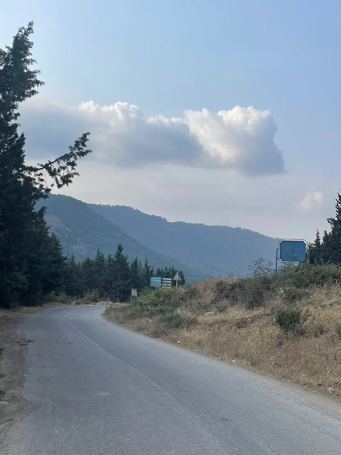 زمین باغی باقراباد