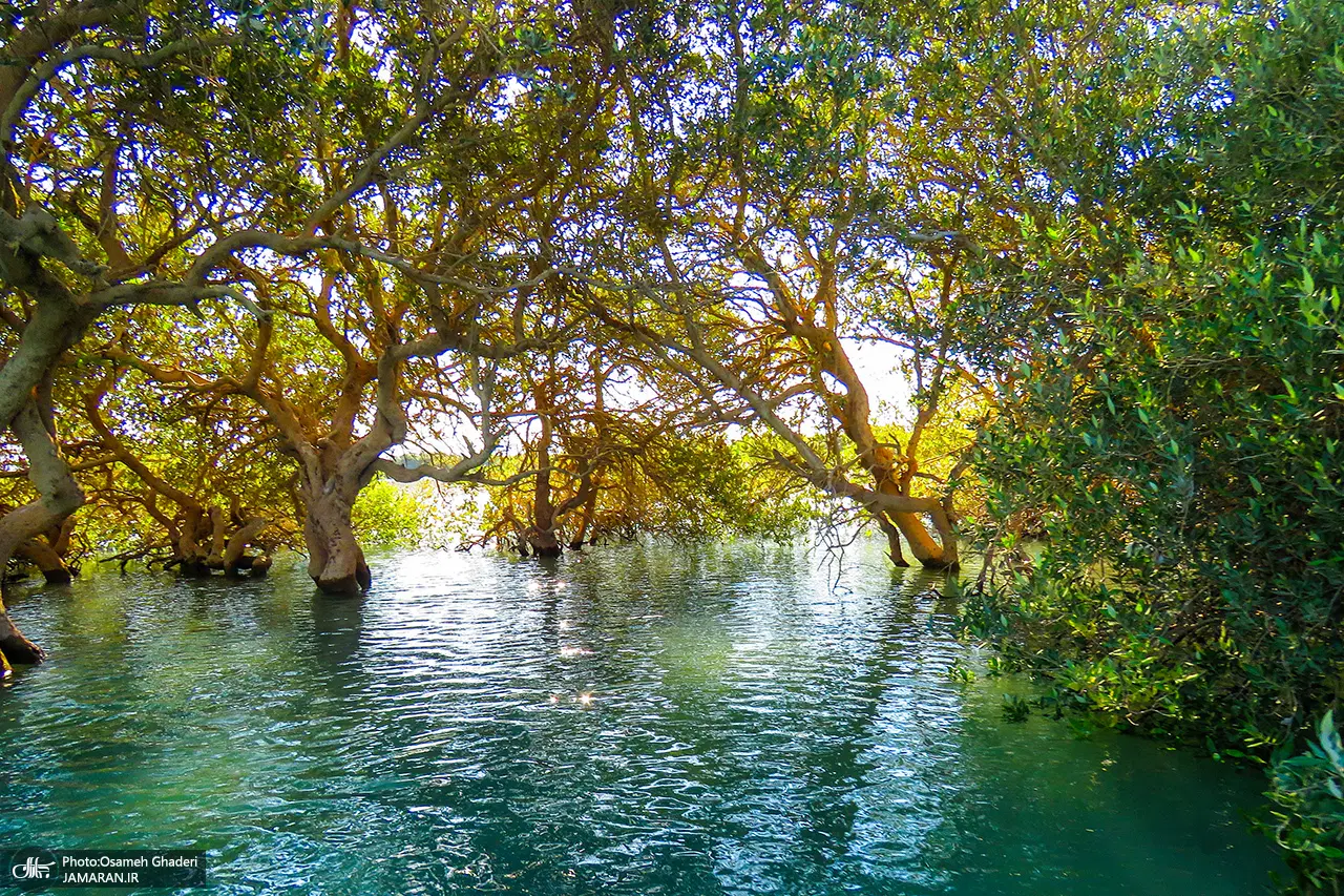 زمین شهر طبل